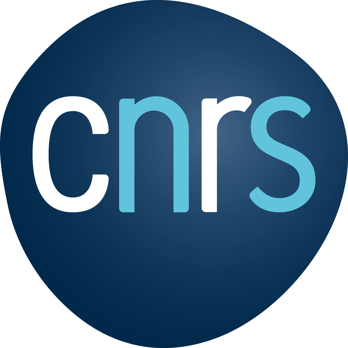 Centre Nationale de Recherche Scientifique - CNRS